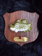 Needle Felt Billy Bass Fish -custom morgan