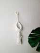 Macrame Air Plant Pod