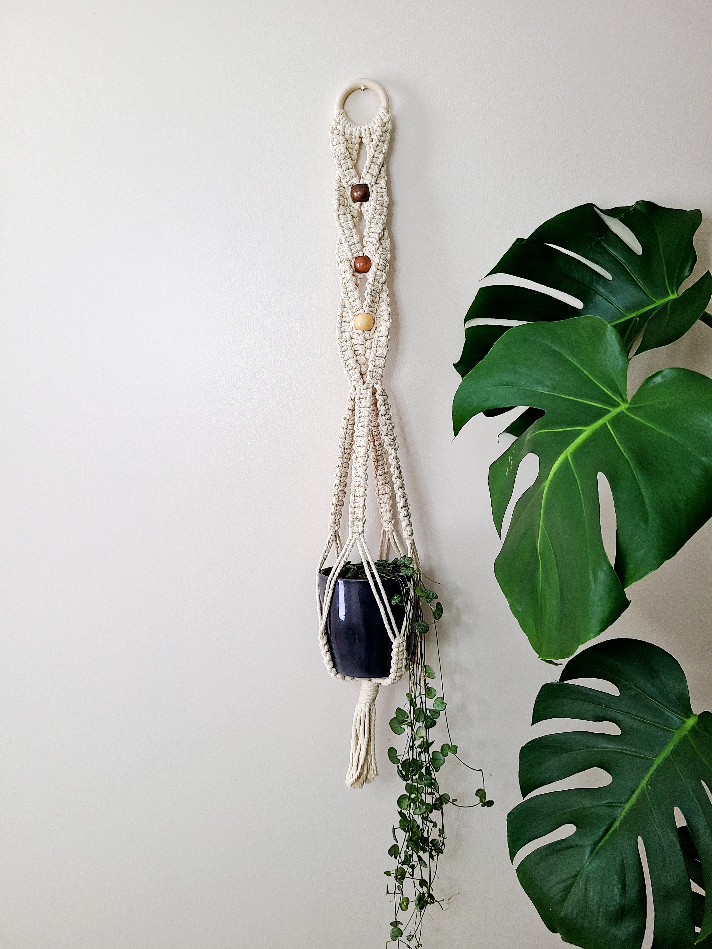 braided plant hanger Braided Macrame Plant Hanger – TwistedMoth Made