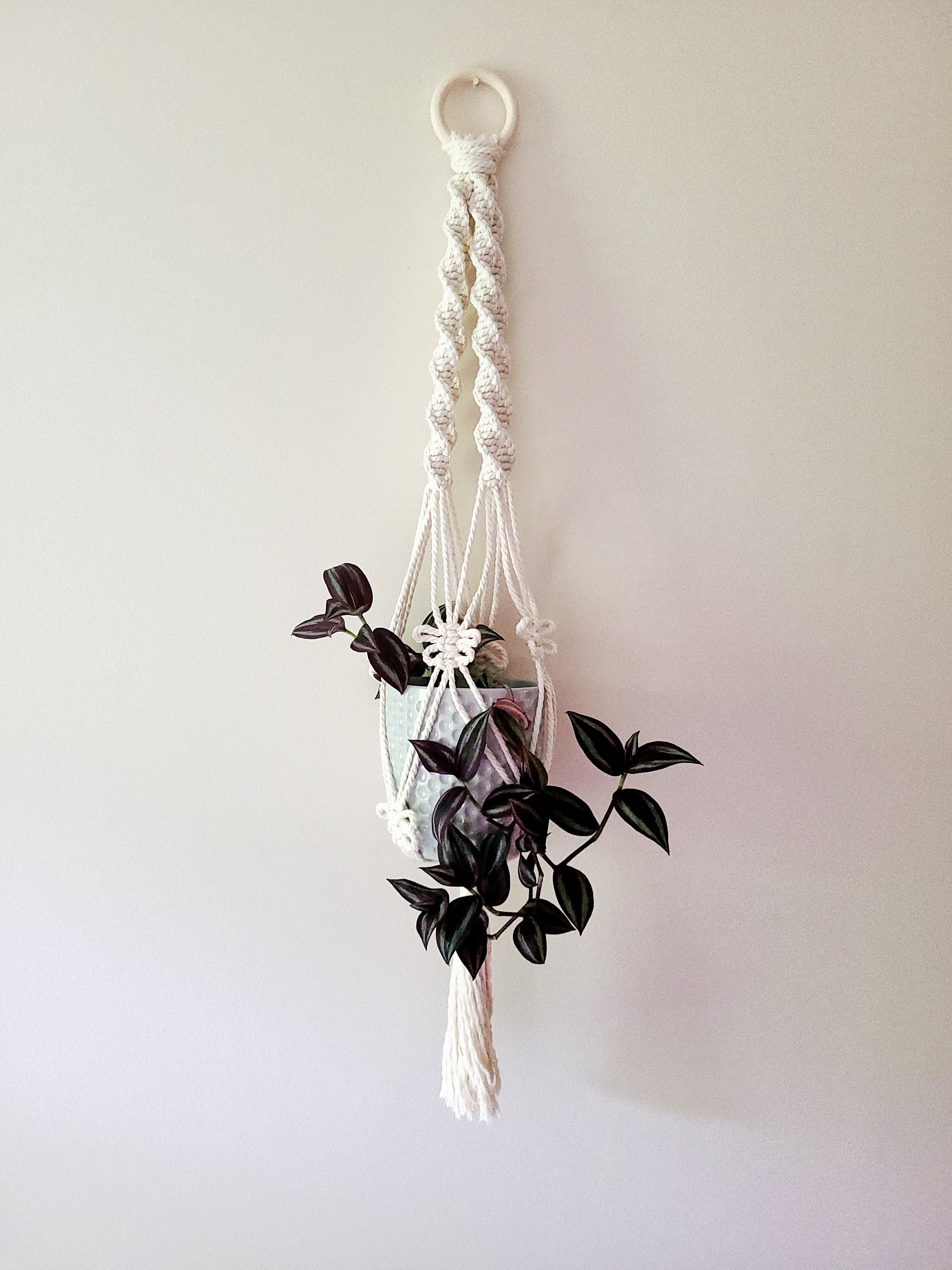 twisted macrame plant hanger Macrame Twisted Three Strand Plant Hanger with moth/ butterfly knots –  TwistedMoth Made