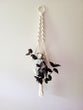 Macrame Twisted Three Strand Plant Hanger with moth/ butterfly knots