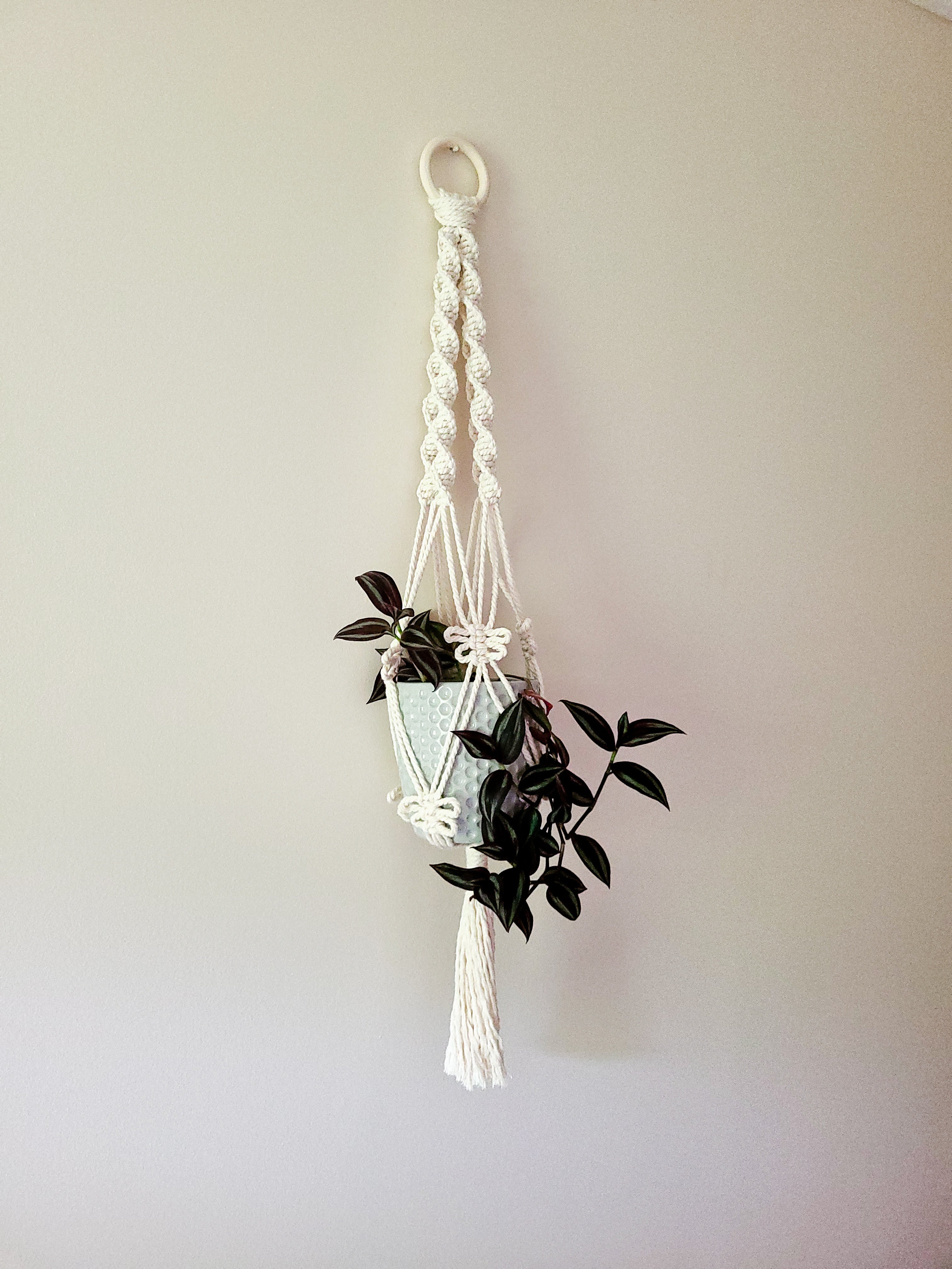macrame plant hanger with 3 strands Macrame Twisted Three Strand Plant Hanger with moth/ butterfly knots –  TwistedMoth Made