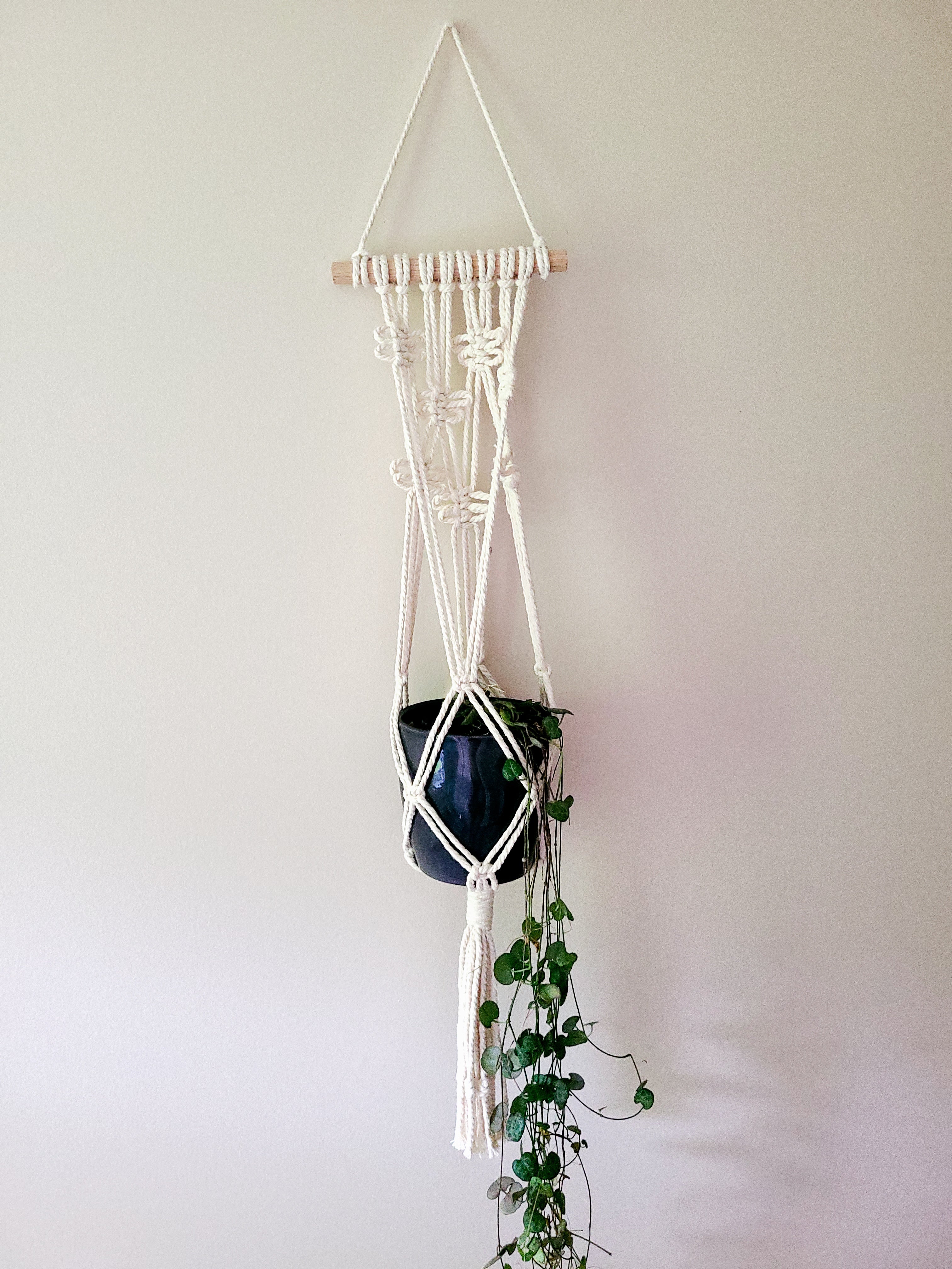 tiered macrame plant hanger Macrame Plant Hanger with moth/ butterfly knots – TwistedMoth Made