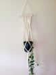 Macrame Plant Hanger with moth/ butterfly knots