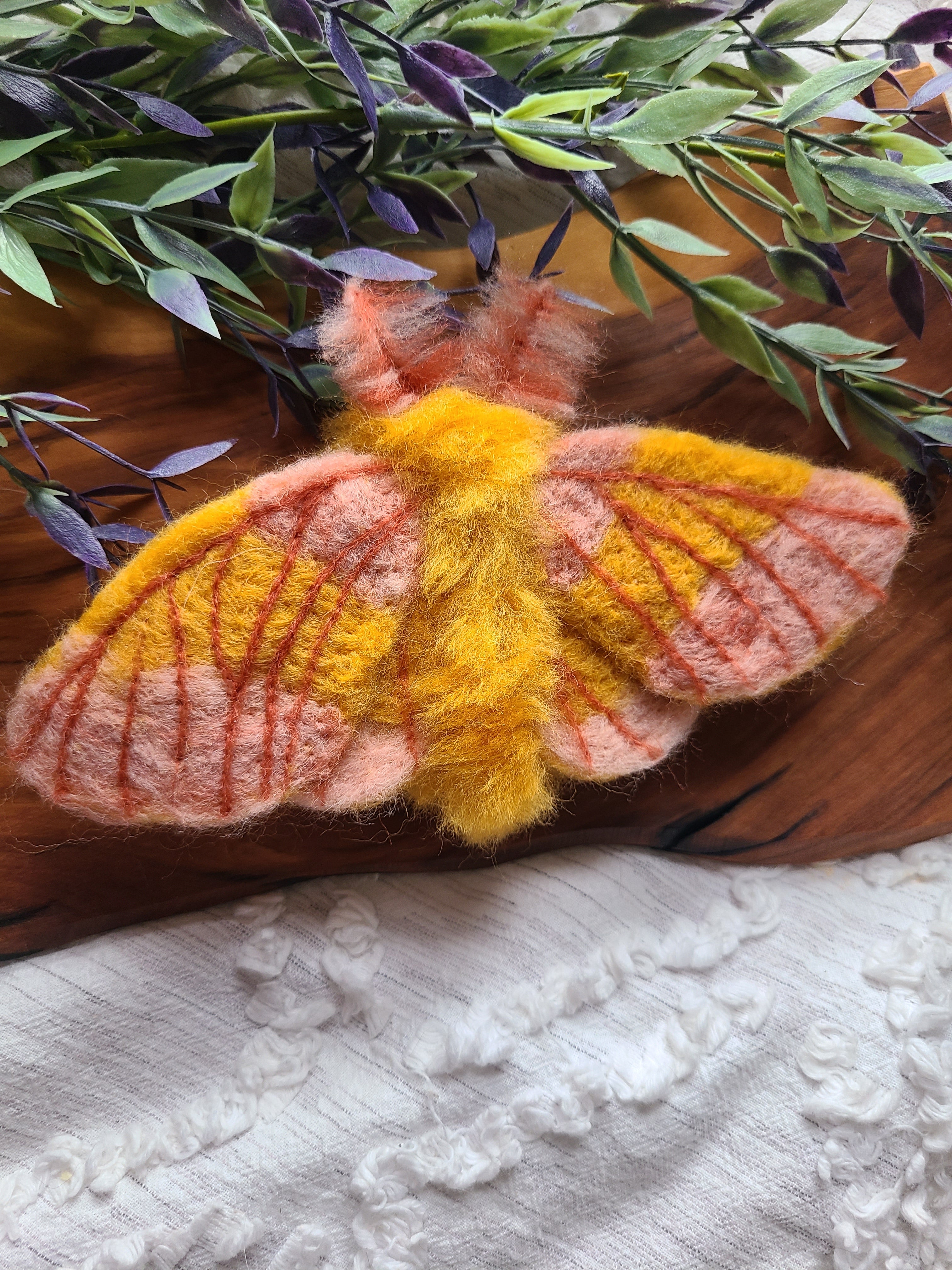 A rosy maple moth on fingers. Stock Photo