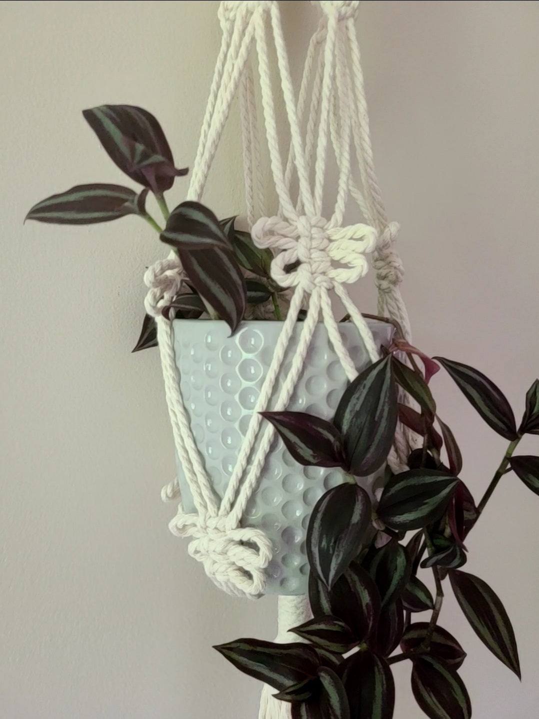 DIY Macramé Kit Plant Hanger Leaf - Hoooked Yarn DIY Macramé Kit Plant Hanger Leaf - Hoooked Yarn