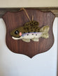 Needle Felt Rainbow Trout Fish