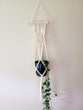 Macrame  Plant Hanger with moth/ butterfly knots