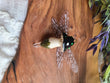 Dragon Fly Mushroom Pendant with Lemurian Quartz